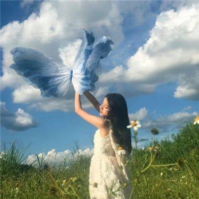 反诈骗行动组